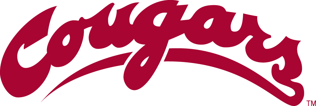 Washington State Cougars 1995-2010 Wordmark Logo iron on transfers for clothing